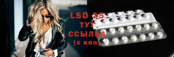 стаф Абинск