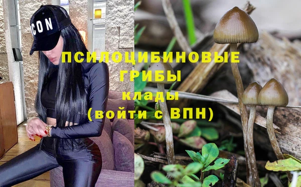 первитин Абаза